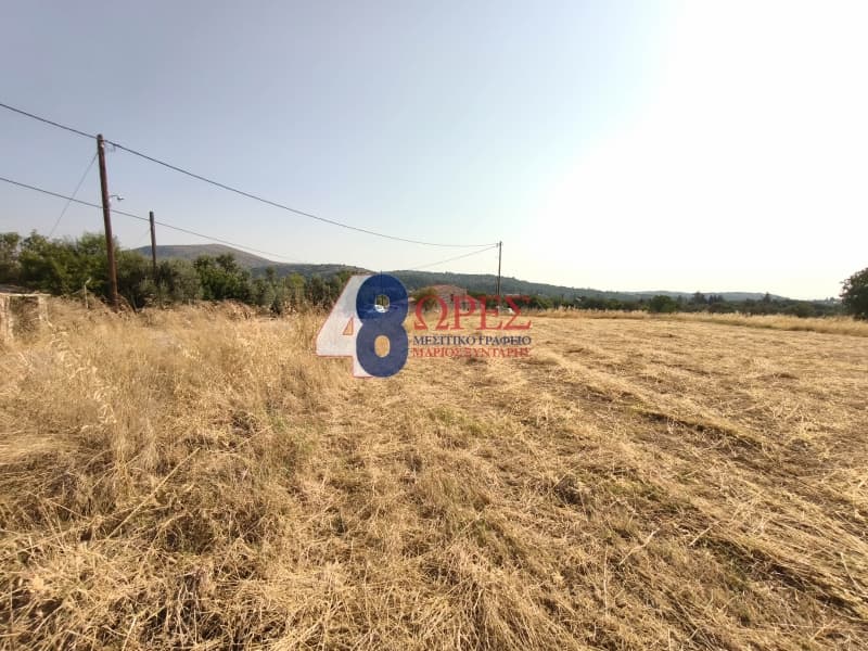Οικόπεδο στην Καμποχώρια, Χίος — Φωτογραφία 19 από 20