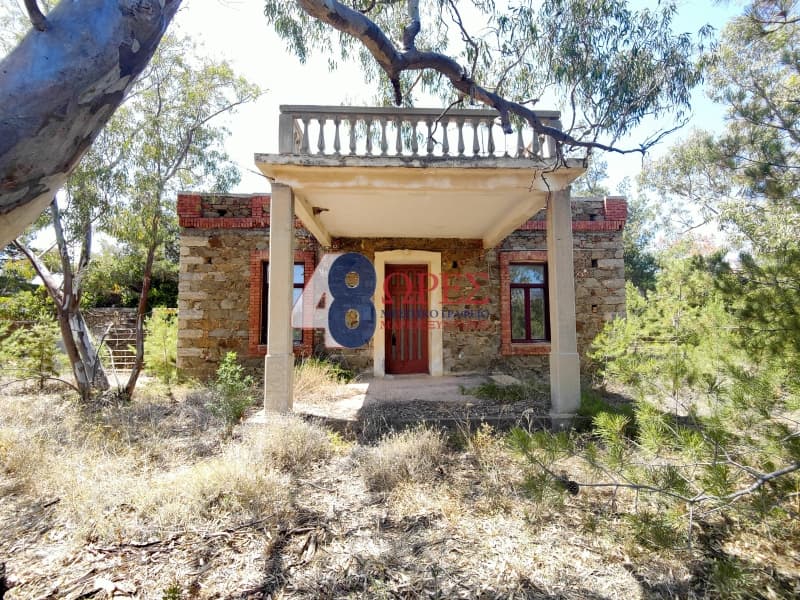 Οικόπεδο στην Αμάνη, Χίος — Φωτογραφία 3 από 9