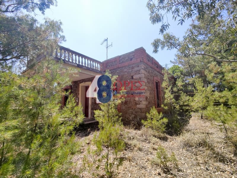 Οικόπεδο στην Αμάνη, Χίος — Φωτογραφία 2 από 9