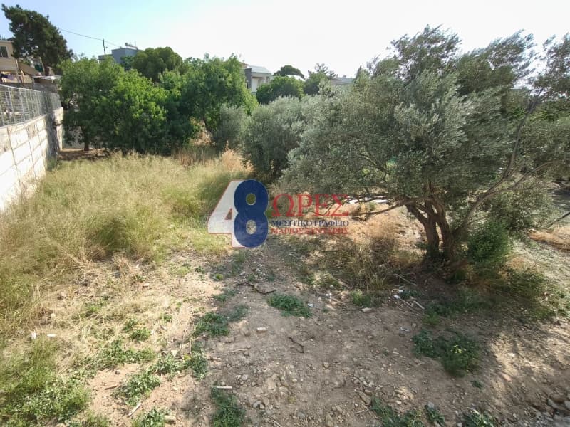 Οικόπεδο στην Πόλη Χίου, Χίος — Φωτογραφία 2 από 3