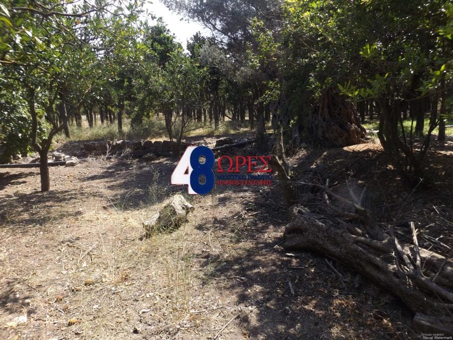 Building Plot in Agios Minas, Chios — Photo 1 of 4