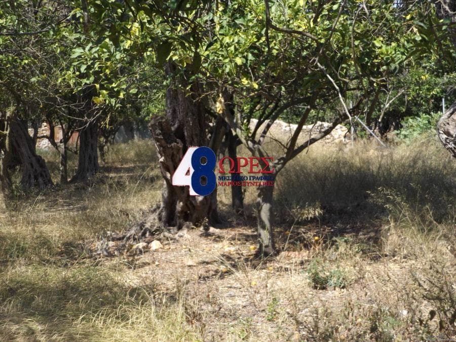 Building Plot in Agios Minas, Chios — Photo 2 of 4