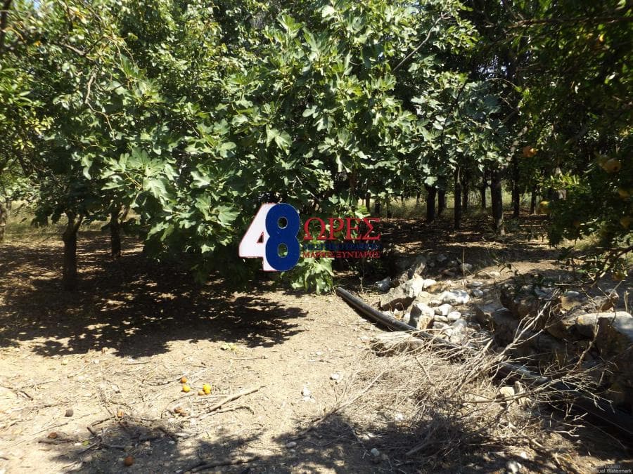 Building Plot in Agios Minas, Chios — Photo 3 of 4