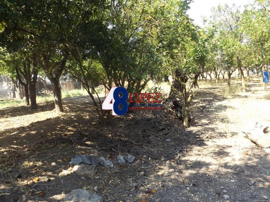 Building Plot in Agios Minas, Chios — Photo 4 of 4
