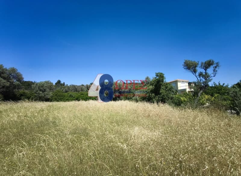 Αγροτεμάχιο στην Άγιος Μηνάς, Χίος — Φωτογραφία 3 από 5