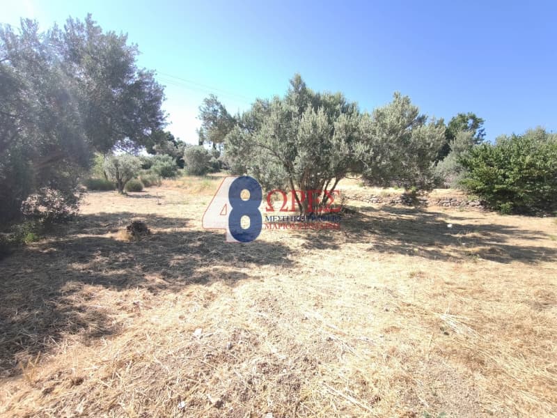 Οικόπεδο στην Πόλη Χίου, Χίος — Φωτογραφία 12 από 14