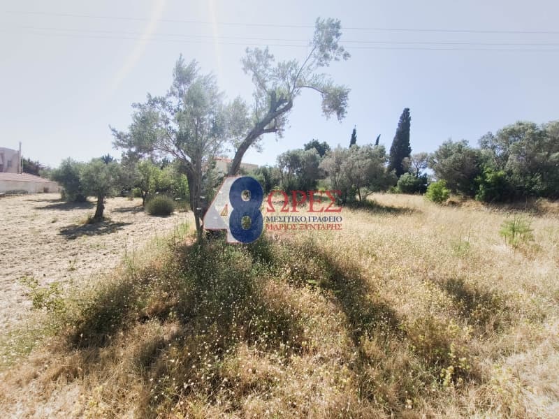 Οικόπεδο στην Πόλη Χίου, Χίος — Φωτογραφία 11 από 14