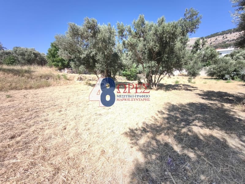 Οικόπεδο στην Πόλη Χίου, Χίος — Φωτογραφία 4 από 14