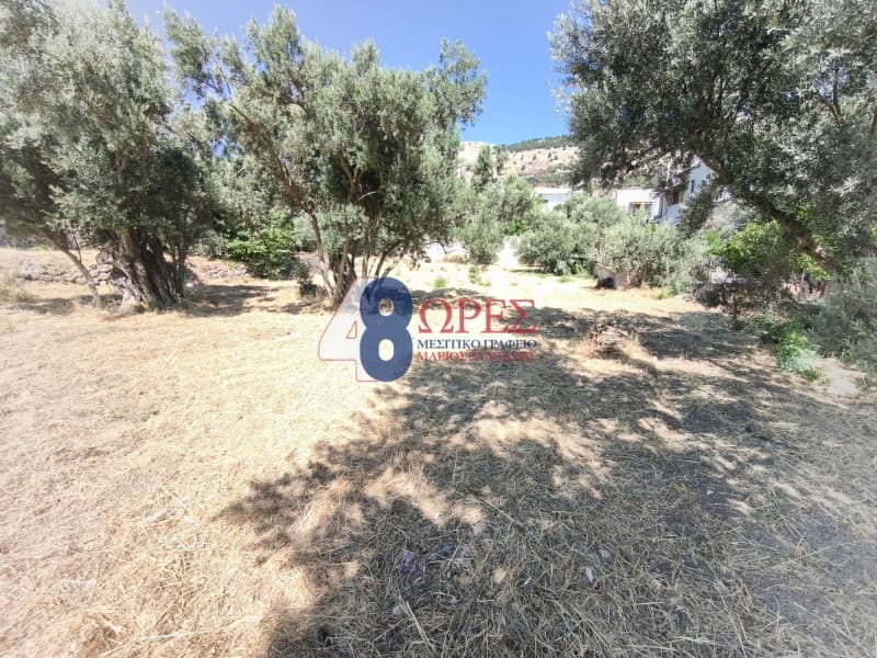 Οικόπεδο στην Πόλη Χίου, Χίος — Φωτογραφία 8 από 14