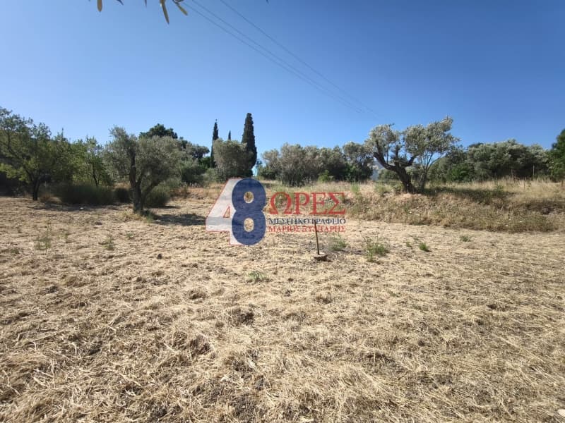 Οικόπεδο στην Πόλη Χίου, Χίος — Φωτογραφία 2 από 14