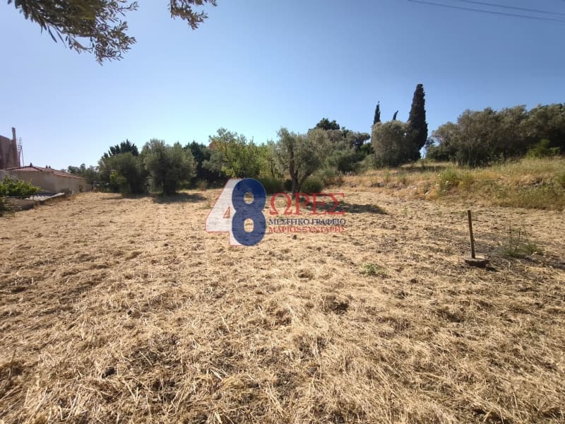 Οικόπεδο στην Πόλη Χίου, Χίος — Φωτογραφία 1 από 14