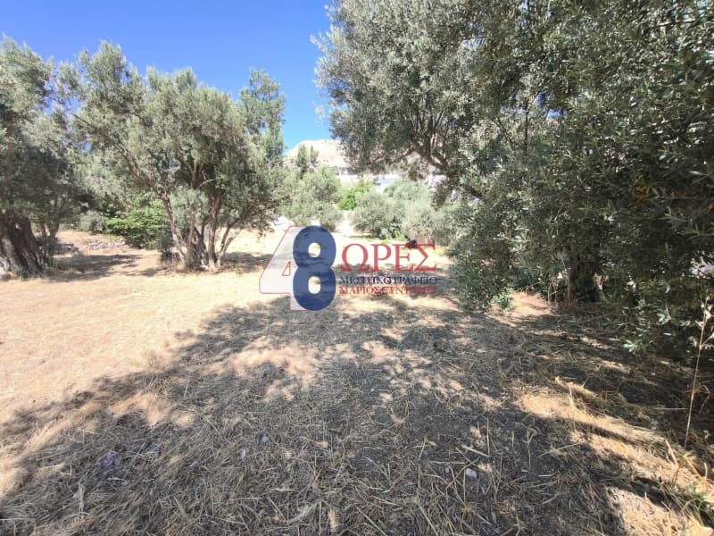Οικόπεδο στην Πόλη Χίου, Χίος — Φωτογραφία 9 από 14
