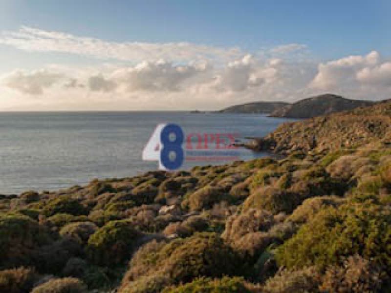 Οικόπεδο στην Κάτω Φελλός, Άνδρος — Φωτογραφία 6 από 6