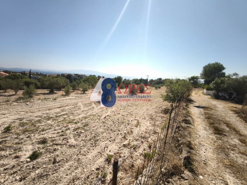Οικόπεδο στην Πόλη Χίου, Χίος — Φωτογραφία 3 από 20