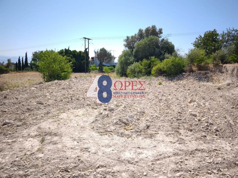 Οικόπεδο στην Πόλη Χίου, Χίος — Φωτογραφία 17 από 24