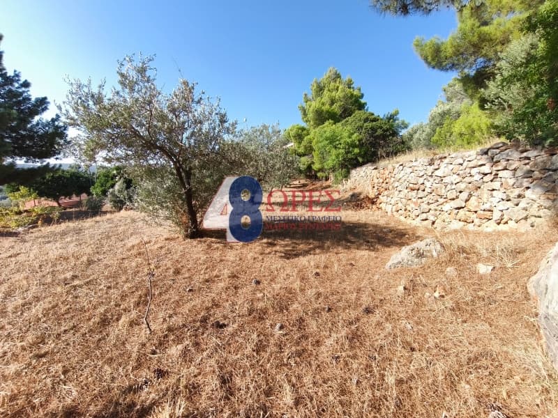 Οικόπεδο στην Πόλη Χίου, Χίος — Φωτογραφία 4 από 14
