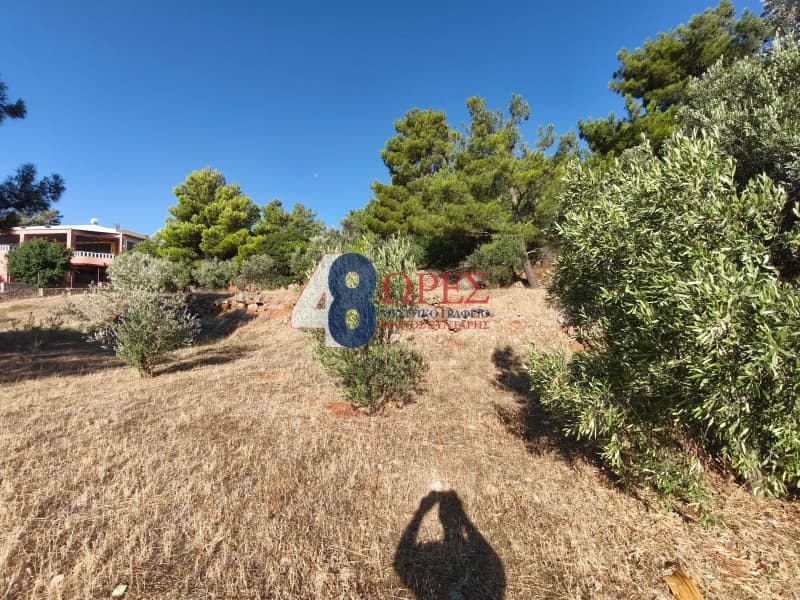 Οικόπεδο στην Πόλη Χίου, Χίος — Φωτογραφία 10 από 14