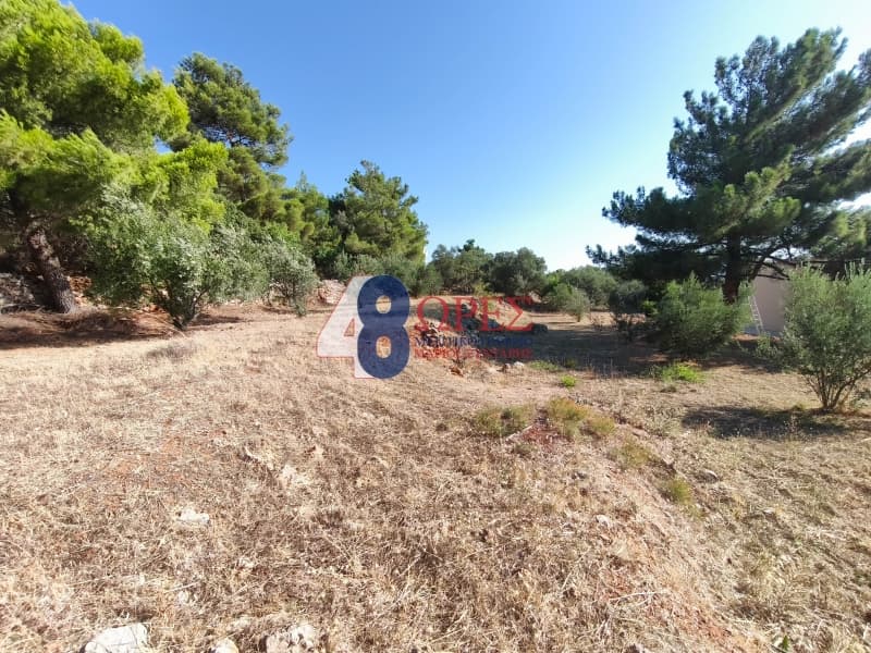 Οικόπεδο στην Πόλη Χίου, Χίος — Φωτογραφία 14 από 14