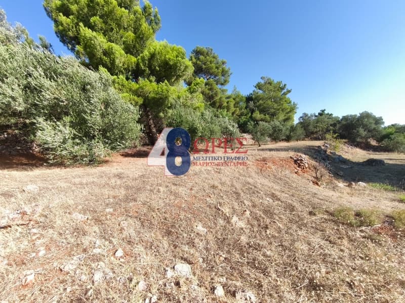 Οικόπεδο στην Πόλη Χίου, Χίος — Φωτογραφία 13 από 14
