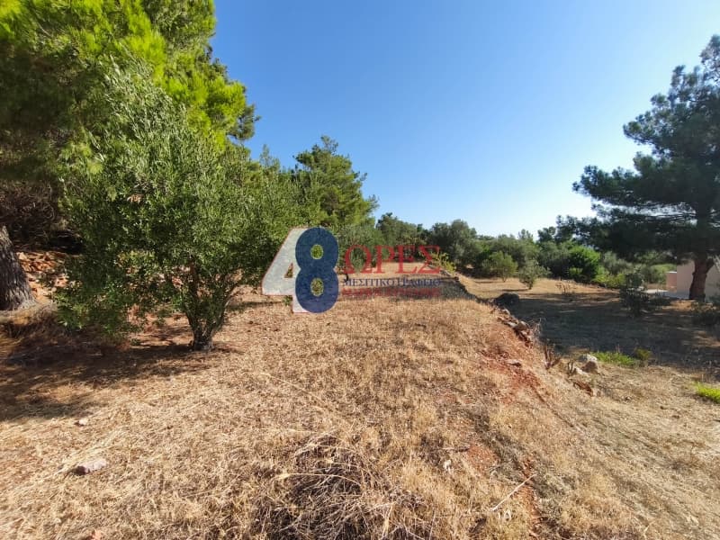 Οικόπεδο στην Πόλη Χίου, Χίος — Φωτογραφία 11 από 14