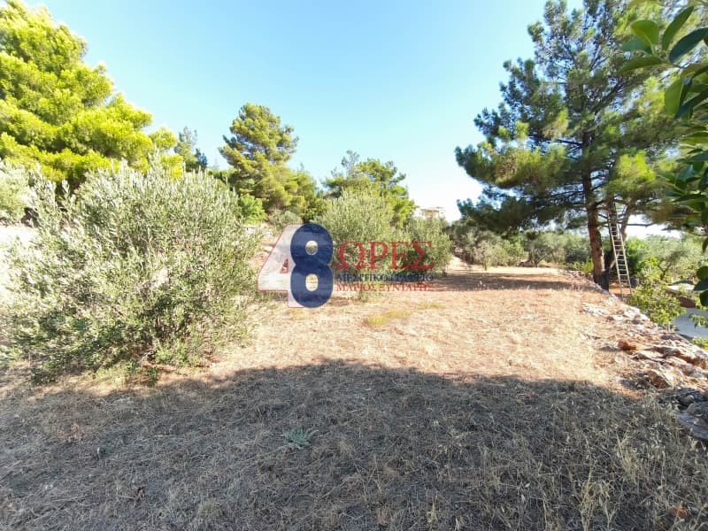Οικόπεδο στην Πόλη Χίου, Χίος — Φωτογραφία 6 από 14