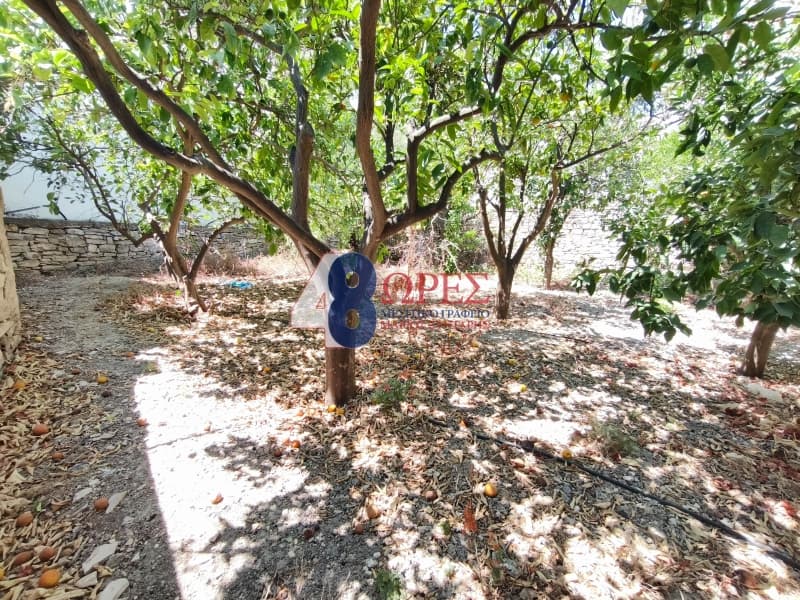 Μονοκατοικία στην Ιωνία, Χίος — Φωτογραφία 15 από 17