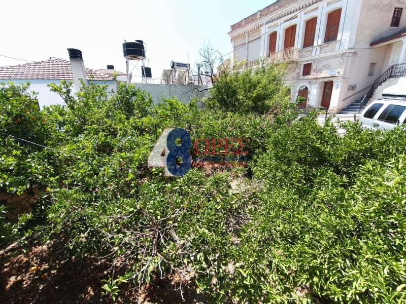Μονοκατοικία στην Ιωνία, Χίος — Φωτογραφία 17 από 17