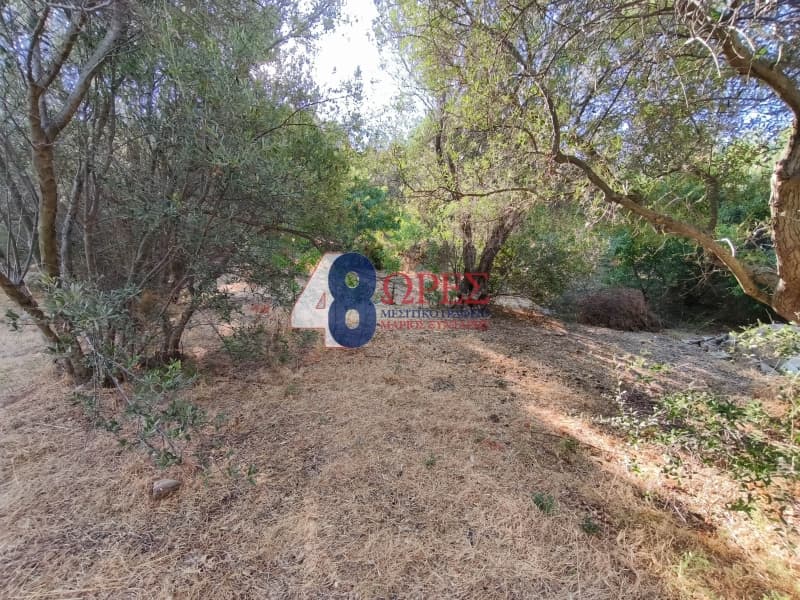 Οικόπεδο στην Άγιος Μηνάς, Χίος — Φωτογραφία 9 από 14