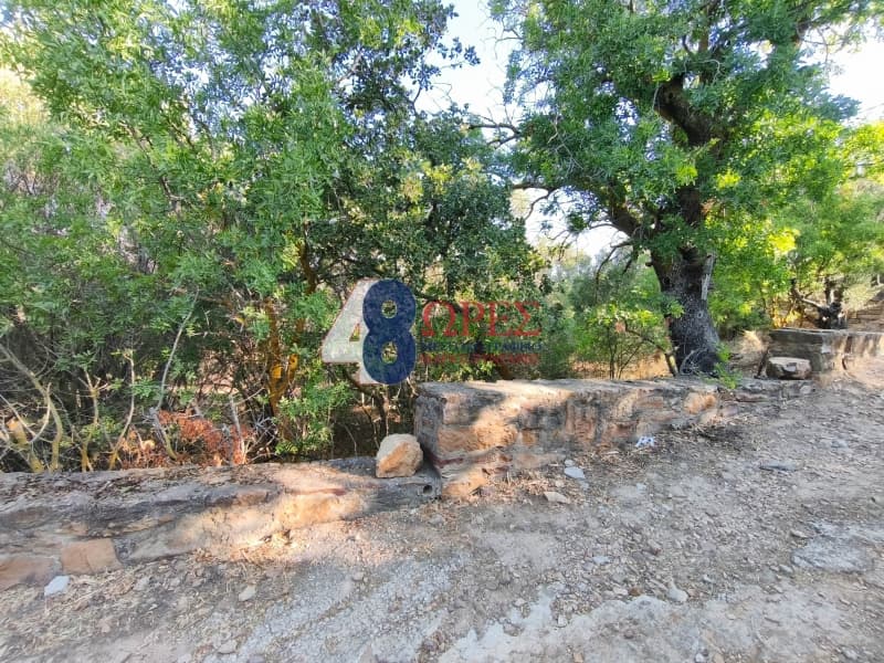 Οικόπεδο στην Άγιος Μηνάς, Χίος — Φωτογραφία 6 από 14