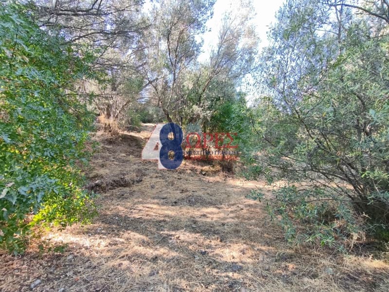Οικόπεδο στην Άγιος Μηνάς, Χίος — Φωτογραφία 11 από 14