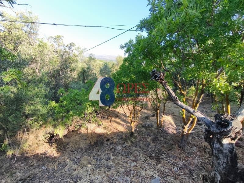Οικόπεδο στην Άγιος Μηνάς, Χίος — Φωτογραφία 8 από 14