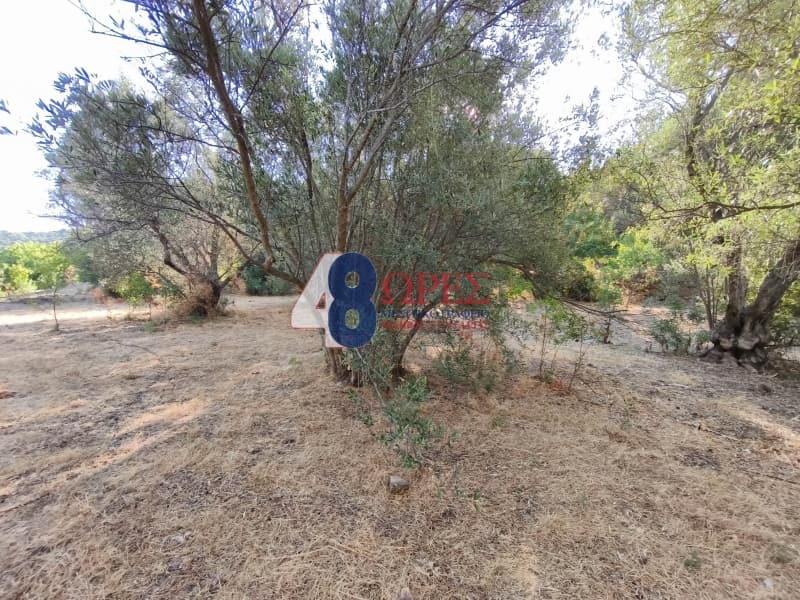 Οικόπεδο στην Άγιος Μηνάς, Χίος — Φωτογραφία 10 από 14