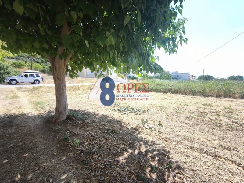 Οικόπεδο στην Ιωνία, Χίος — Φωτογραφία 6 από 8