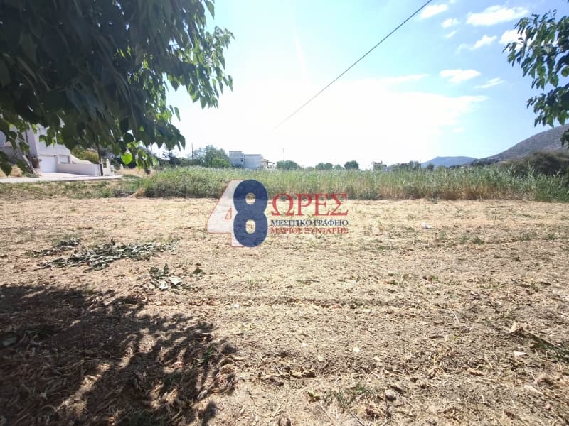 Οικόπεδο στην Ιωνία, Χίος — Φωτογραφία 5 από 8