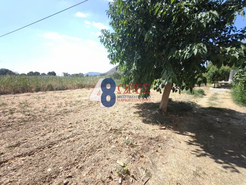Οικόπεδο στην Ιωνία, Χίος — Φωτογραφία 7 από 8
