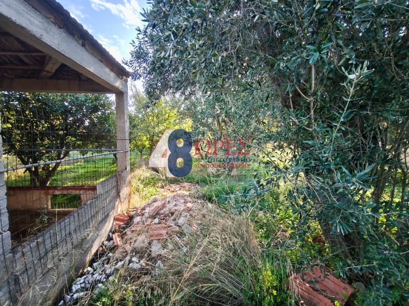 Οικόπεδο στην Άγιος Μηνάς, Χίος — Φωτογραφία 9 από 12