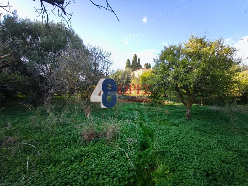 Οικόπεδο στην Άγιος Μηνάς, Χίος — Φωτογραφία 6 από 12