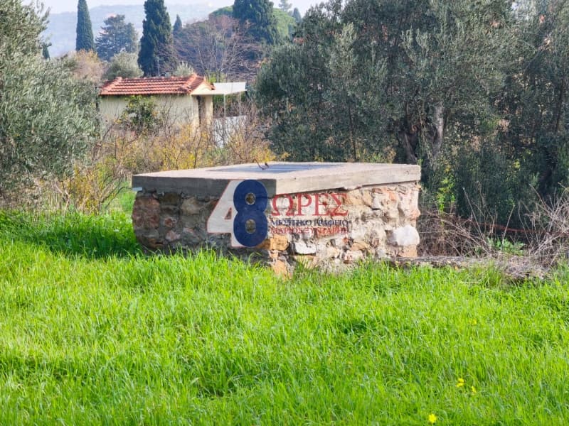 Οικόπεδο στην Άγιος Μηνάς, Χίος — Φωτογραφία 6 από 16
