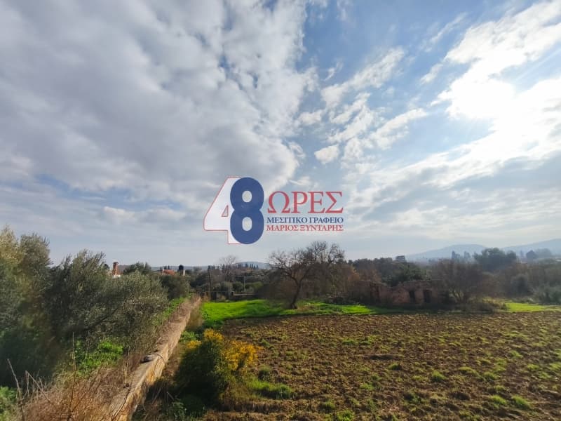 Οικόπεδο στην Άγιος Μηνάς, Χίος — Φωτογραφία 13 από 16
