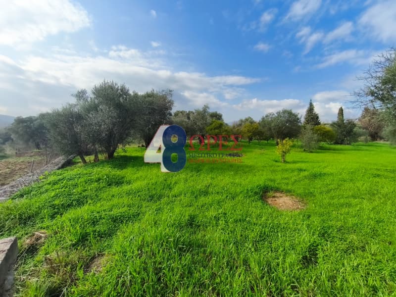 Οικόπεδο στην Άγιος Μηνάς, Χίος — Φωτογραφία 10 από 16