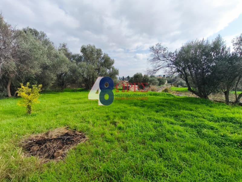 Οικόπεδο στην Άγιος Μηνάς, Χίος — Φωτογραφία 7 από 16