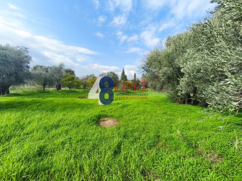 Οικόπεδο στην Άγιος Μηνάς, Χίος — Φωτογραφία 11 από 16
