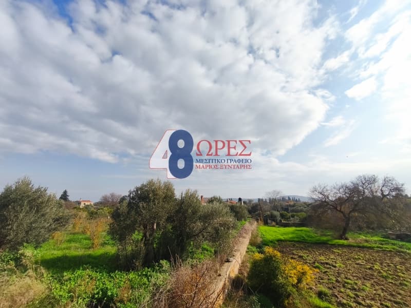 Οικόπεδο στην Άγιος Μηνάς, Χίος — Φωτογραφία 12 από 16