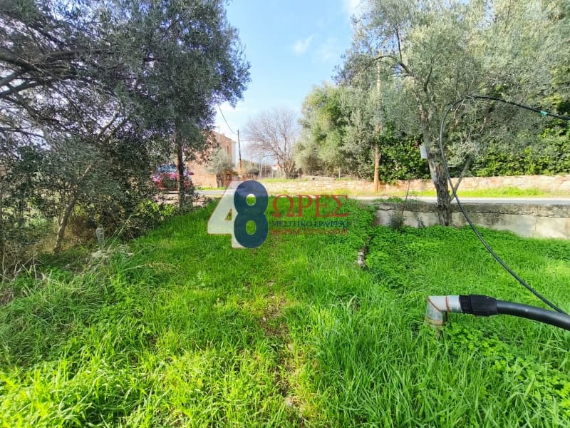 Οικόπεδο στην Άγιος Μηνάς, Χίος — Φωτογραφία 16 από 16