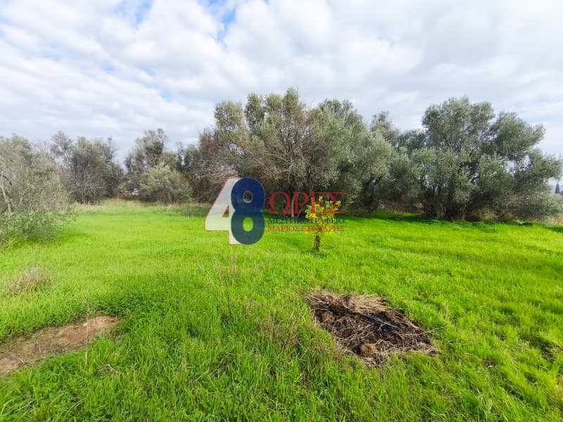 Οικόπεδο στην Άγιος Μηνάς, Χίος — Φωτογραφία 8 από 16