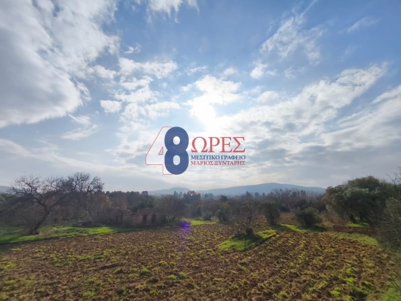 Οικόπεδο στην Άγιος Μηνάς, Χίος — Φωτογραφία 14 από 16