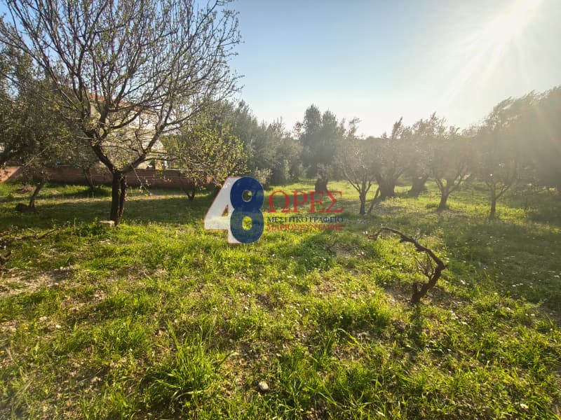 Οικόπεδο στην Πόλη Χίου, Χίος — Φωτογραφία 1 από 13