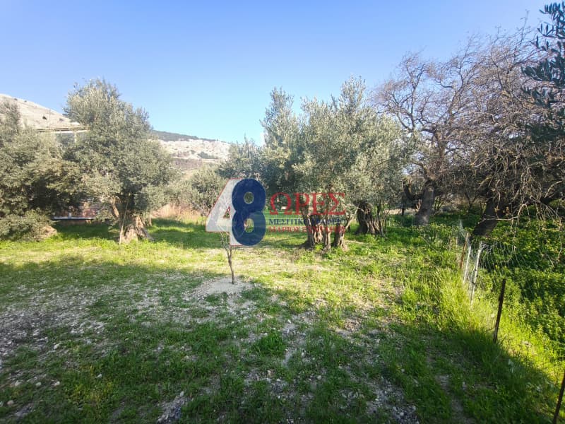 Οικόπεδο στην Πόλη Χίου, Χίος — Φωτογραφία 6 από 13
