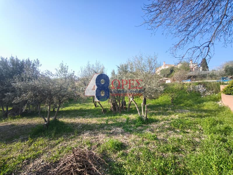 Οικόπεδο στην Πόλη Χίου, Χίος — Φωτογραφία 12 από 13