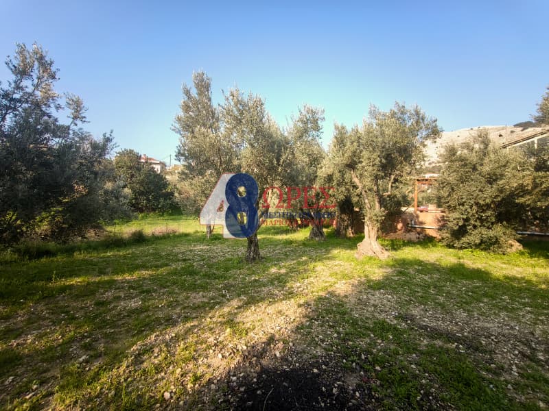 Οικόπεδο στην Πόλη Χίου, Χίος — Φωτογραφία 3 από 13
